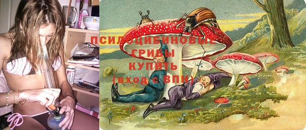 ГАЛЛЮЦИНОГЕННЫЕ ГРИБЫ Надым