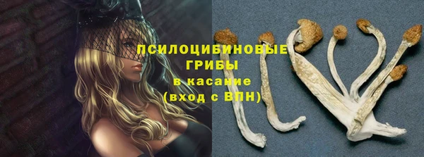 гидра Навашино