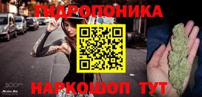 ГАЛЛЮЦИНОГЕННЫЕ ГРИБЫ Коммунар