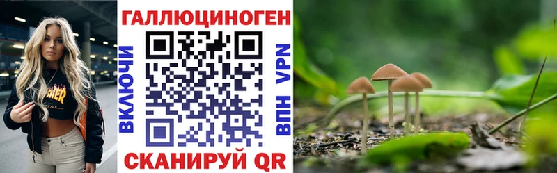 мориарти формула  дарнет шоп  Барабинск  Псилоцибиновые грибы Magic Shrooms 