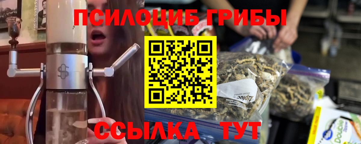 Галлюциногенные грибы Psilocybe  Псилоцибиновые грибы Psilocybine cubensis  Вход с VPN  Барабинск 